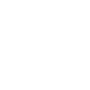 Andrade & Bahena